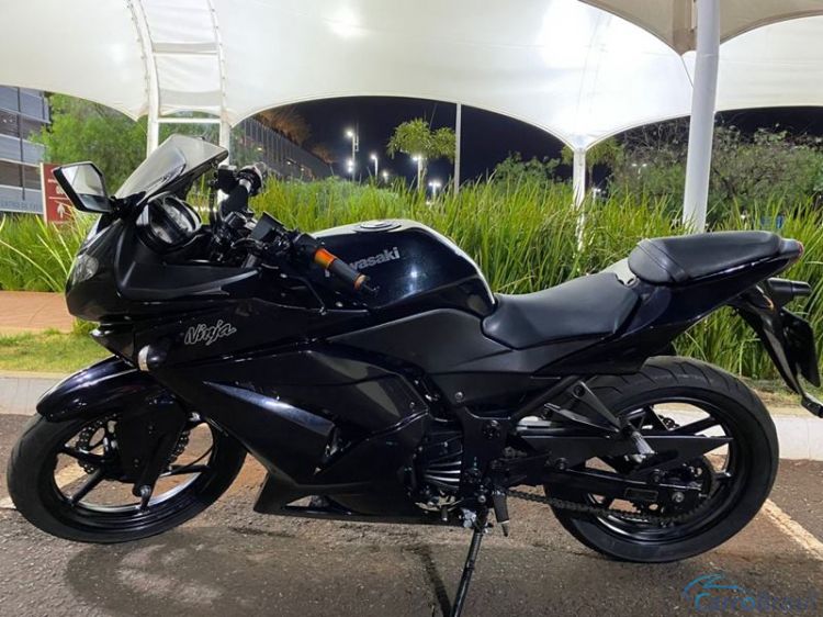 Eduardo Laureano | Ninja Ninja 250R 12/12 - foto 7